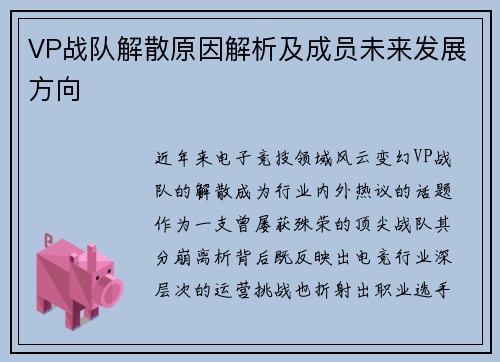 VP战队解散原因解析及成员未来发展方向